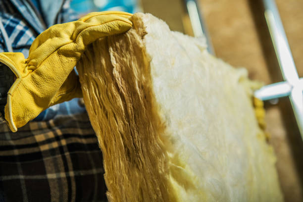 Best Local Insulation Services  in Hooverson Heights, WV