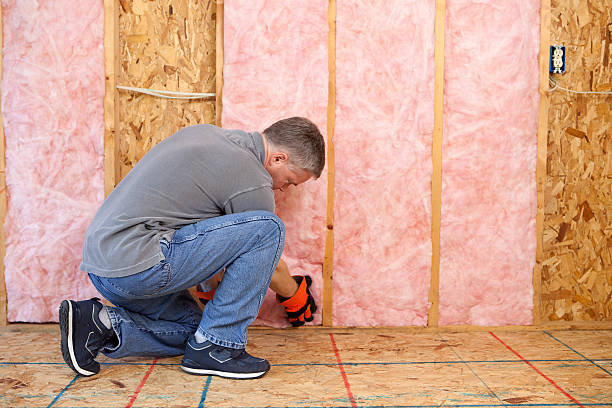 Best Blown-in Insulation  in Hooverson Heights, WV