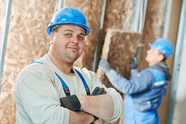 Best Energy-efficient Insulation  in Hooverson Heights, WV